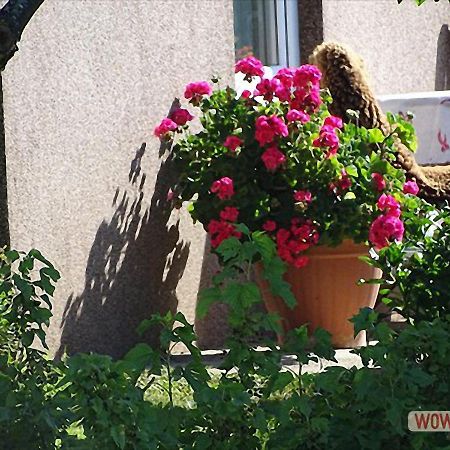 Ferienwohnung Greim Sankt Peter am Kammersberg Zewnętrze zdjęcie