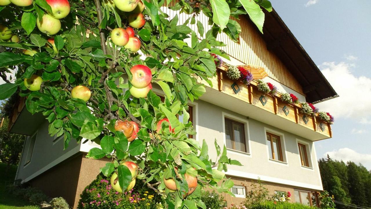 Ferienwohnung Greim Sankt Peter am Kammersberg Zewnętrze zdjęcie